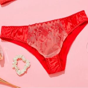 Lipstick red and sheer nude santeen panty